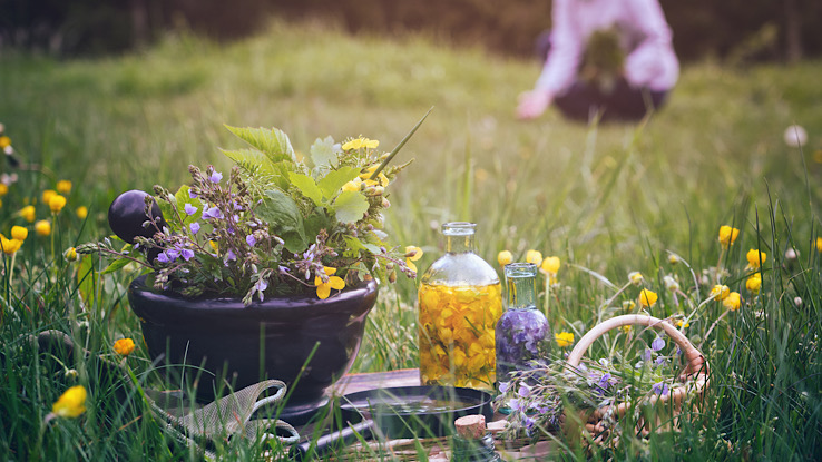 Medicinal plants.