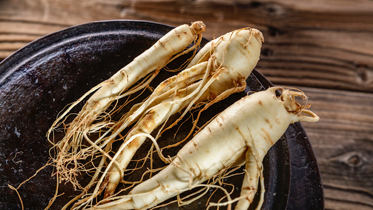 Ginseng medicinal plant.