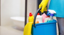 How to Clean a Toilet Bowl Ring